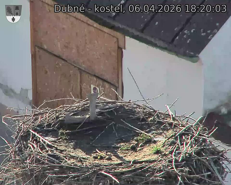 Capi_Dubne_20260406_182003.jpg (1350&nbsp;x&nbsp;1080)