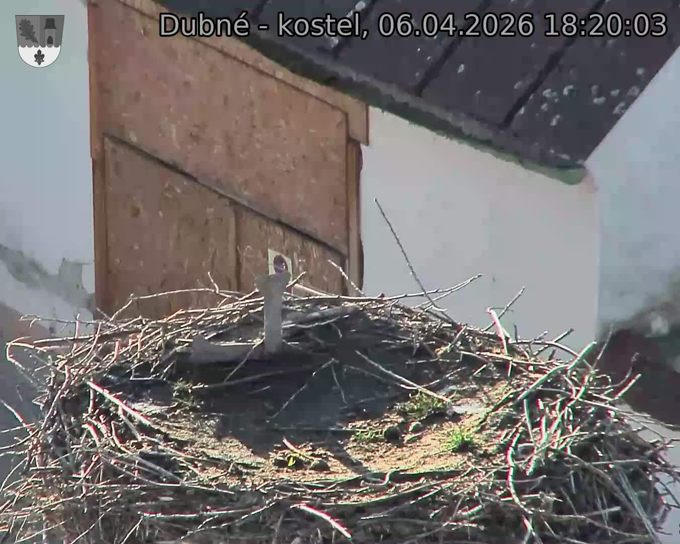 Capi_Dubne_20260406_182003.jpg (1350&nbsp;x&nbsp;1080)