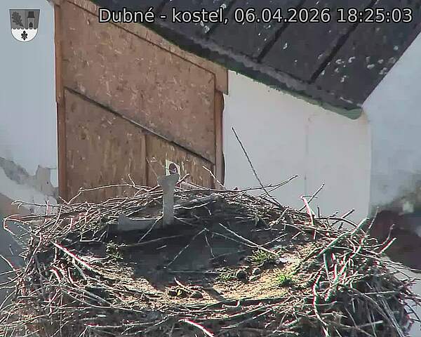 Capi_Dubne_20260406_182503.jpg (1350&nbsp;x&nbsp;1080)