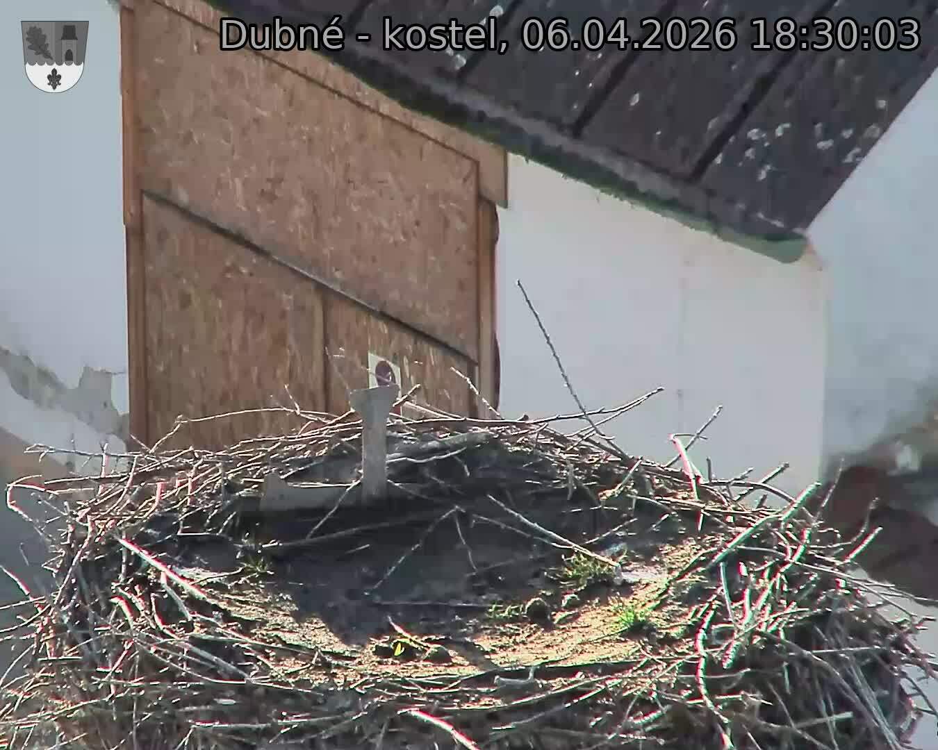 Capi_Dubne_20260406_183003.jpg (1350&nbsp;x&nbsp;1080)