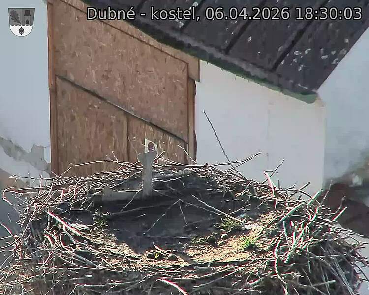 Capi_Dubne_20260406_183003.jpg (1350&nbsp;x&nbsp;1080)