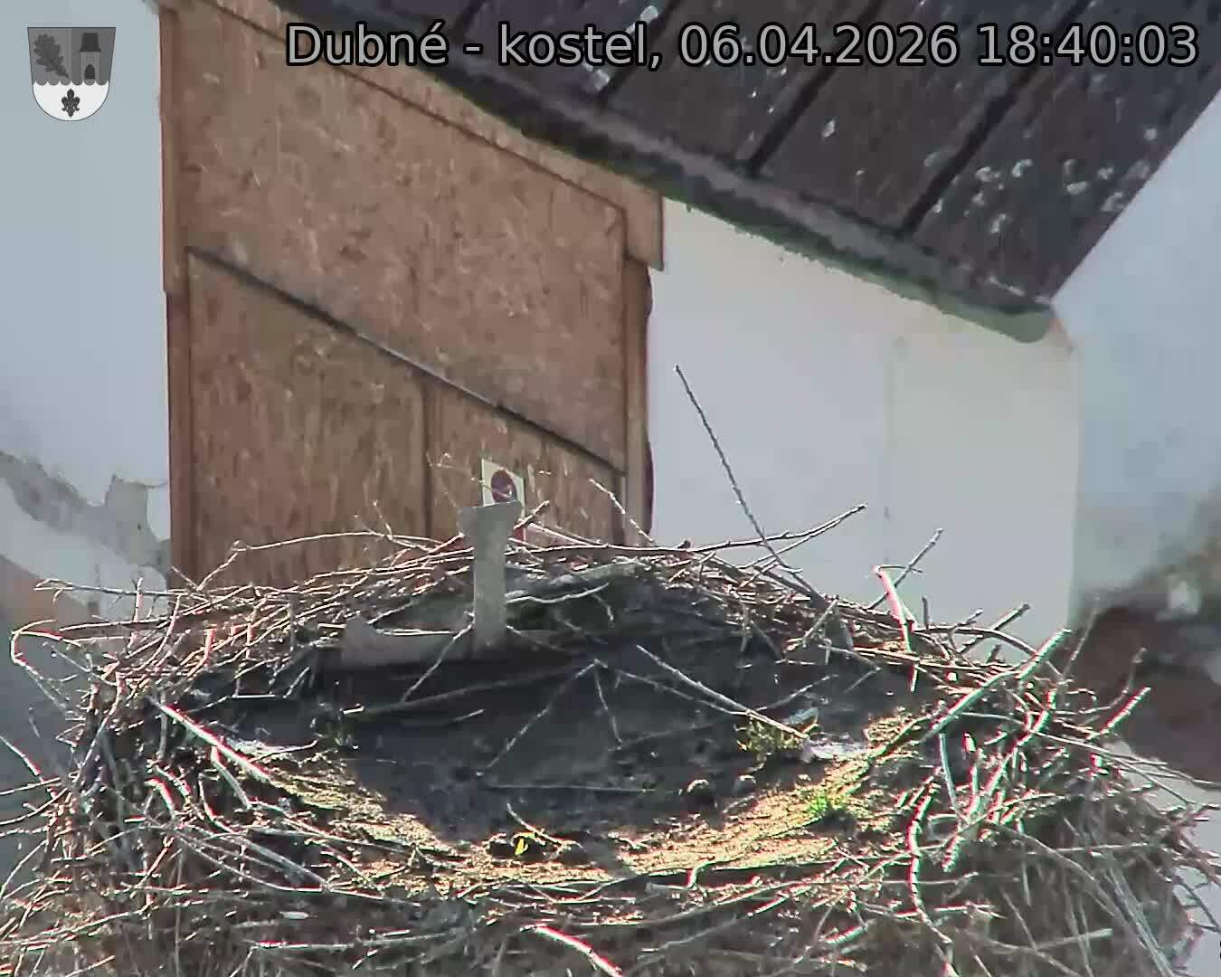 Capi_Dubne_20260406_184003.jpg (1350&nbsp;x&nbsp;1080)