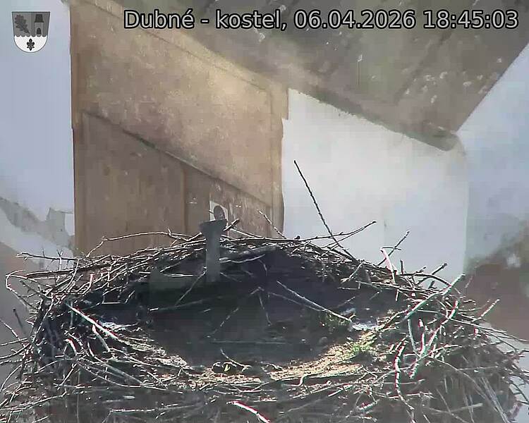 Capi_Dubne_20260406_184503.jpg (1350&nbsp;x&nbsp;1080)