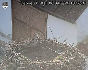 Capi_Dubne_20260406_185503.jpg (1350&nbsp;x&nbsp;1080)