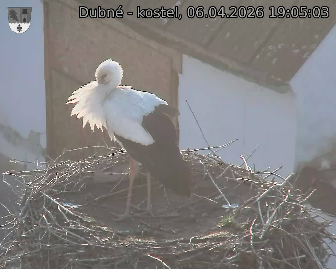 Capi_Dubne_20260406_190503.jpg (1350&nbsp;x&nbsp;1080)