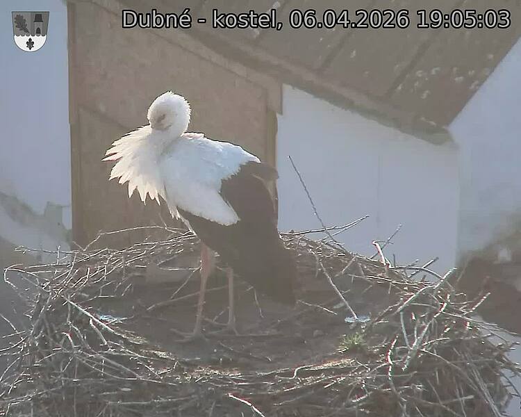 Capi_Dubne_20260406_190503.jpg (1350&nbsp;x&nbsp;1080)