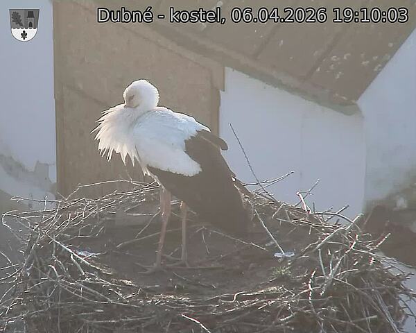 Capi_Dubne_20260406_191003.jpg (1350&nbsp;x&nbsp;1080)