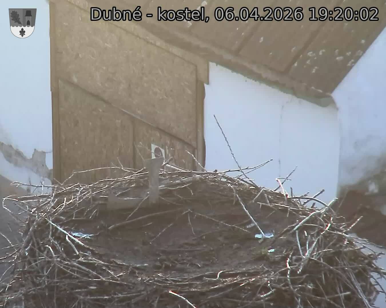 Capi_Dubne_20260406_192002.jpg (1350&nbsp;x&nbsp;1080)
