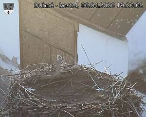 Capi_Dubne_20260406_192002.jpg (1350&nbsp;x&nbsp;1080)