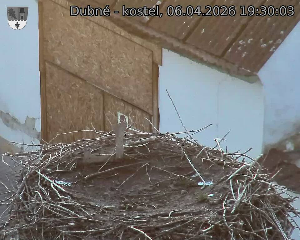 Capi_Dubne_20260406_193003.jpg (1350&nbsp;x&nbsp;1080)