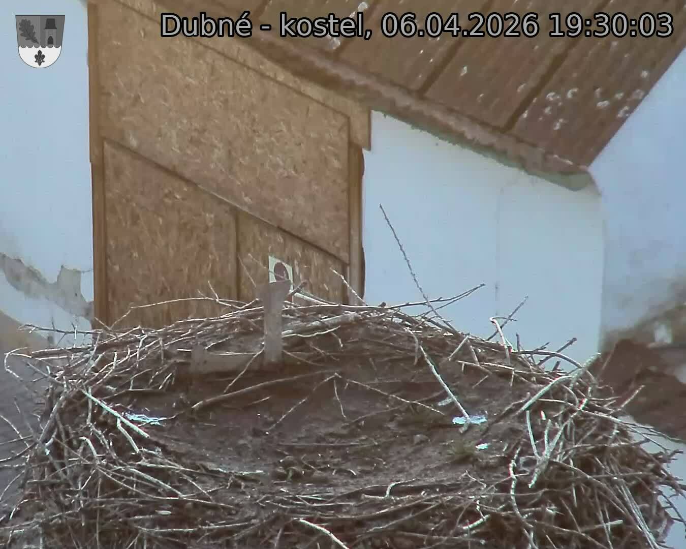 Capi_Dubne_20260406_193003.jpg (1350&nbsp;x&nbsp;1080)