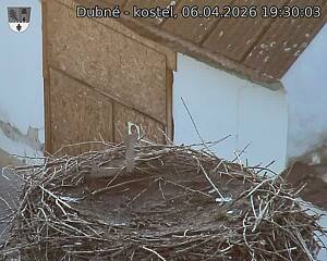 Capi_Dubne_20260406_193003.jpg (1350&nbsp;x&nbsp;1080)