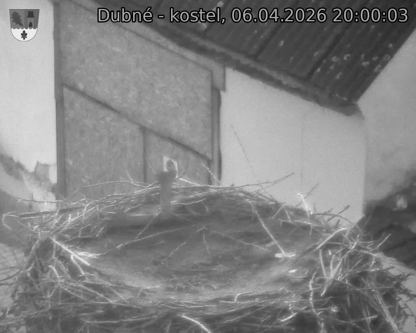 Capi_Dubne_20260406_200003.jpg (1350&nbsp;x&nbsp;1080)