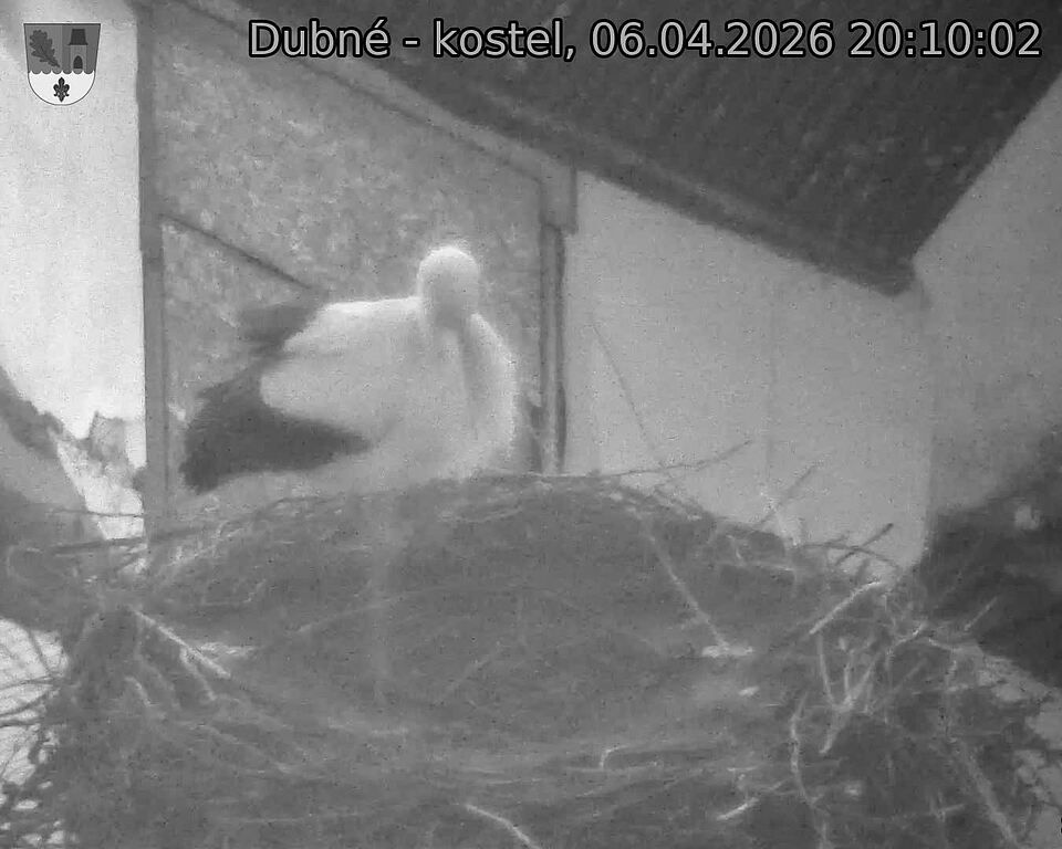 Capi_Dubne_20260406_201002.jpg (1350&nbsp;x&nbsp;1080)