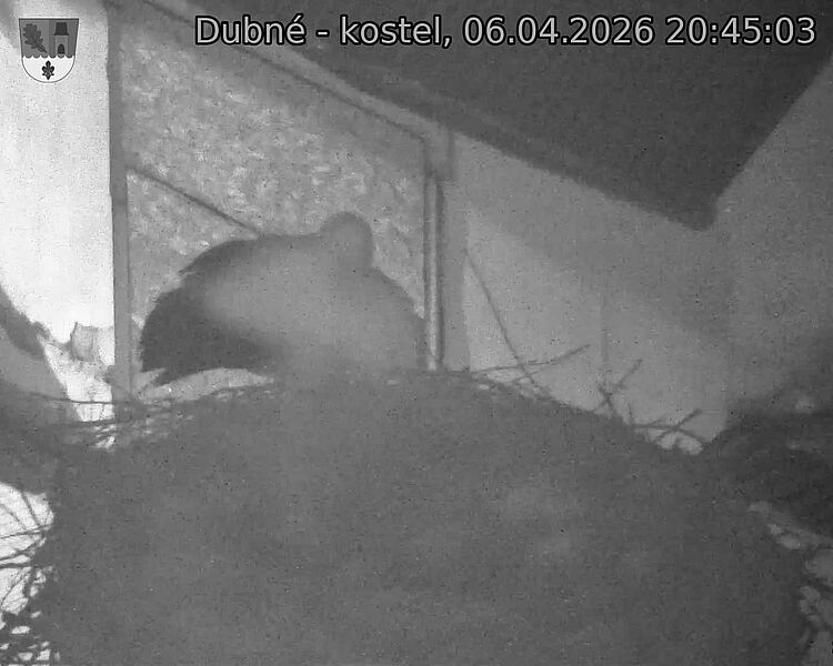 Capi_Dubne_20260406_204503.jpg (1350&nbsp;x&nbsp;1080)