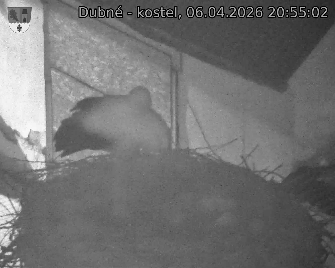 Capi_Dubne_20260406_205502.jpg (1350&nbsp;x&nbsp;1080)
