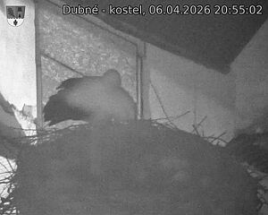 Capi_Dubne_20260406_205502.jpg (1350&nbsp;x&nbsp;1080)