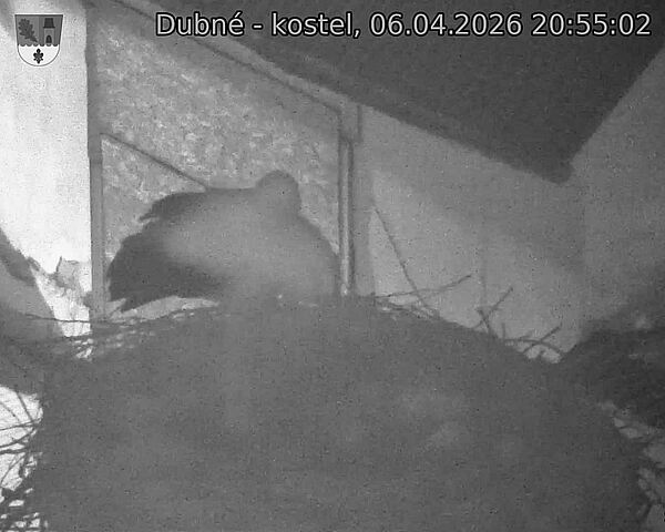 Capi_Dubne_20260406_205502.jpg (1350&nbsp;x&nbsp;1080)