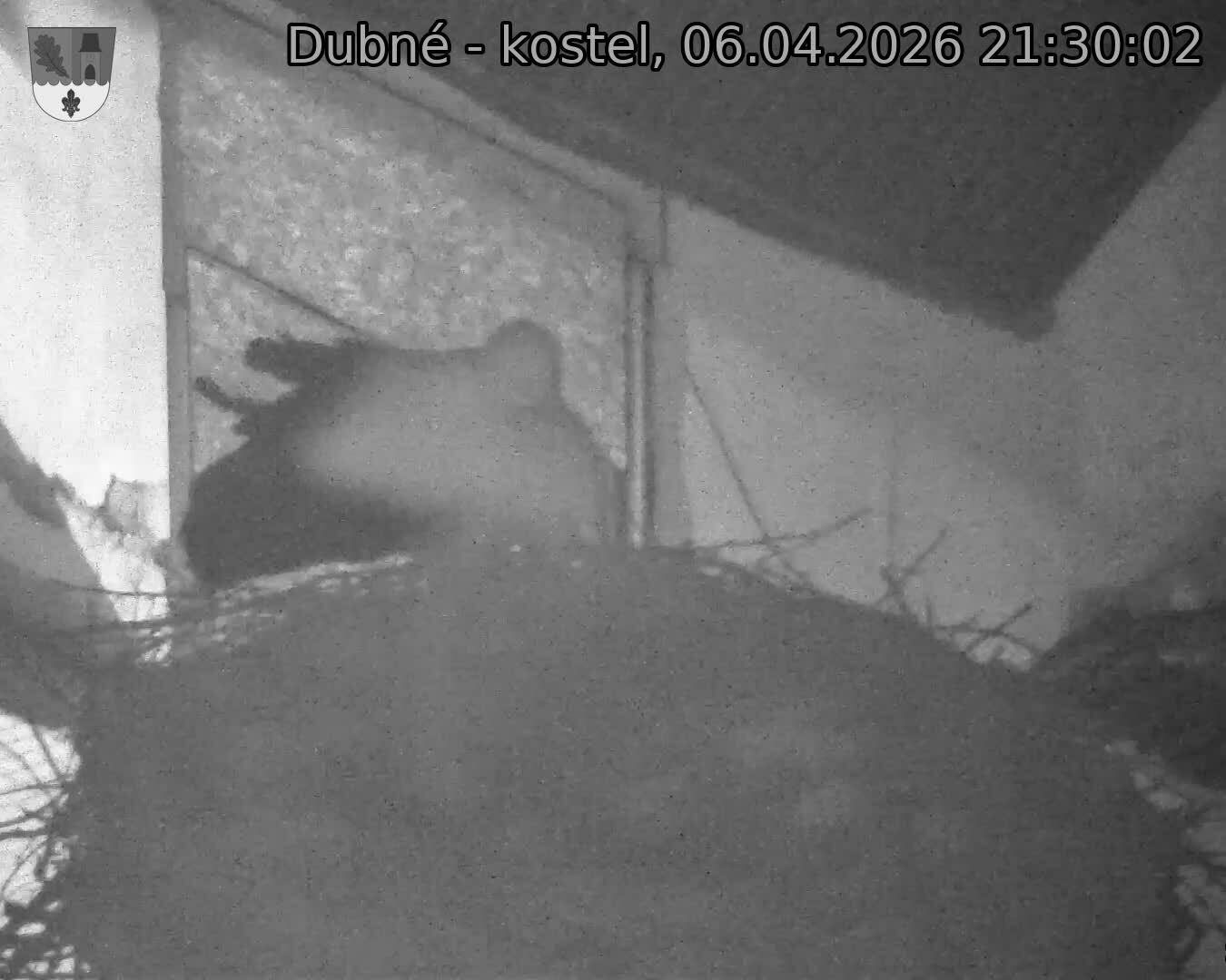 Capi_Dubne_20260406_213002.jpg (1350&nbsp;x&nbsp;1080)