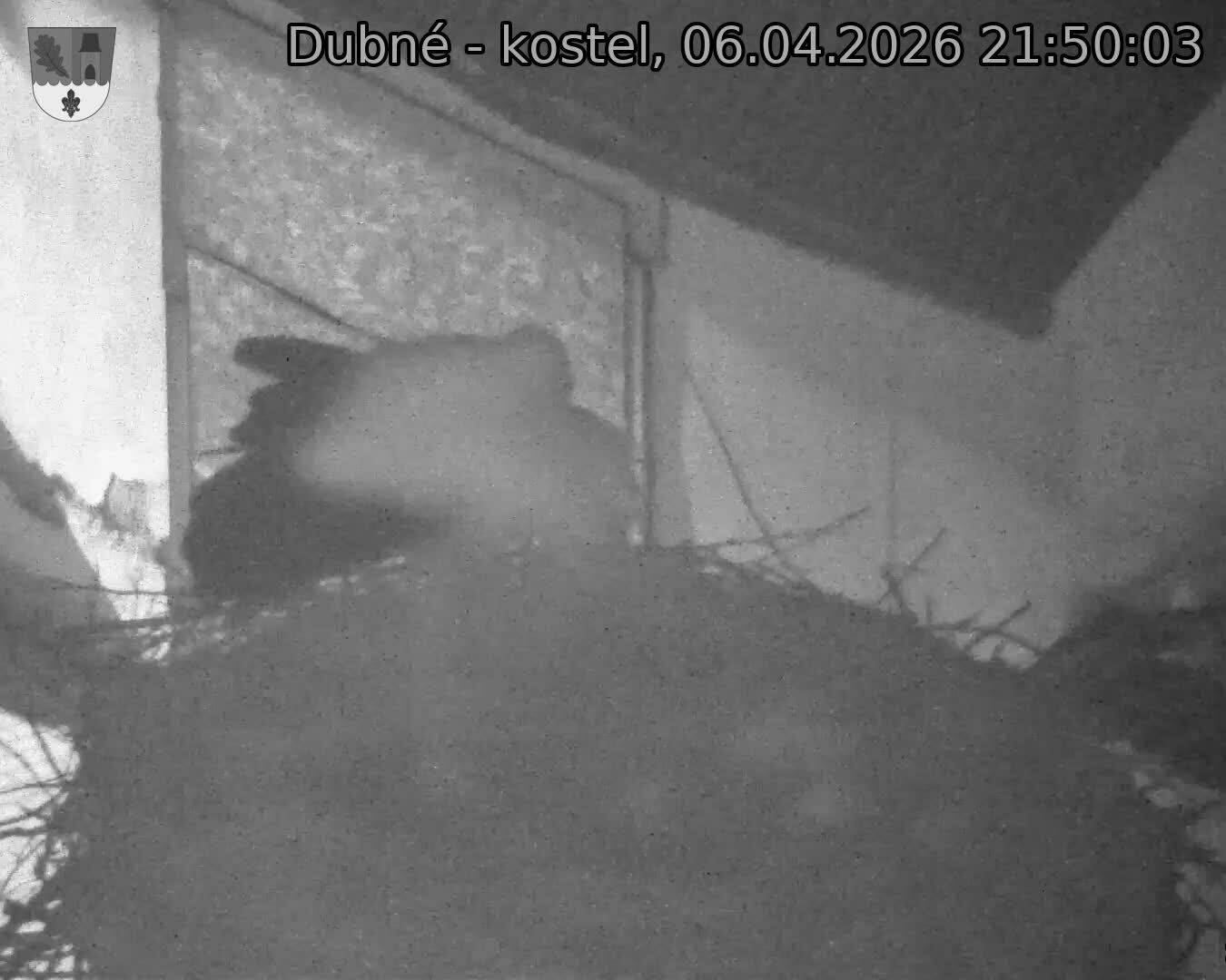Capi_Dubne_20260406_215003.jpg (1350&nbsp;x&nbsp;1080)