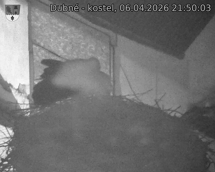 Capi_Dubne_20260406_215003.jpg (1350&nbsp;x&nbsp;1080)
