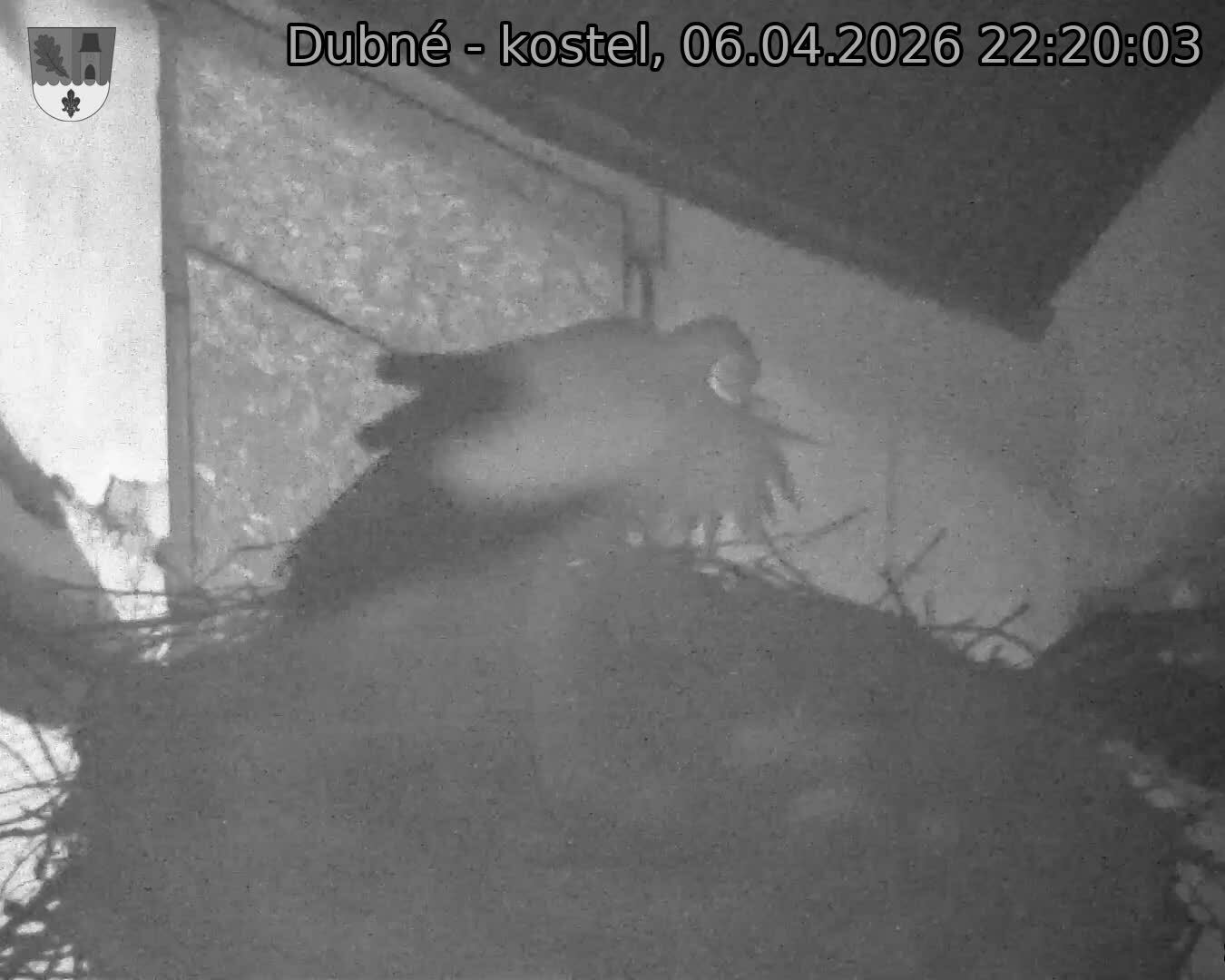 Capi_Dubne_20260406_222003.jpg (1350&nbsp;x&nbsp;1080)