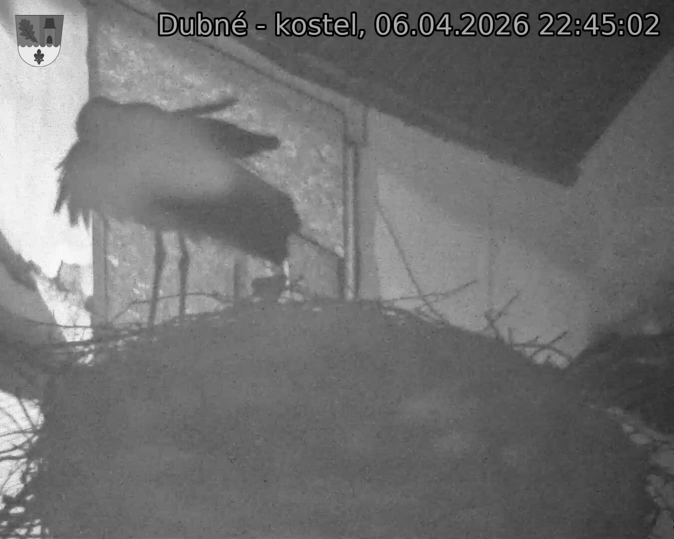 Capi_Dubne_20260406_224502.jpg (1350&nbsp;x&nbsp;1080)