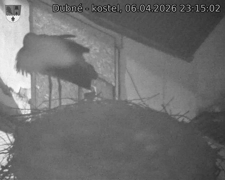 Capi_Dubne_20260406_231502.jpg (1350&nbsp;x&nbsp;1080)
