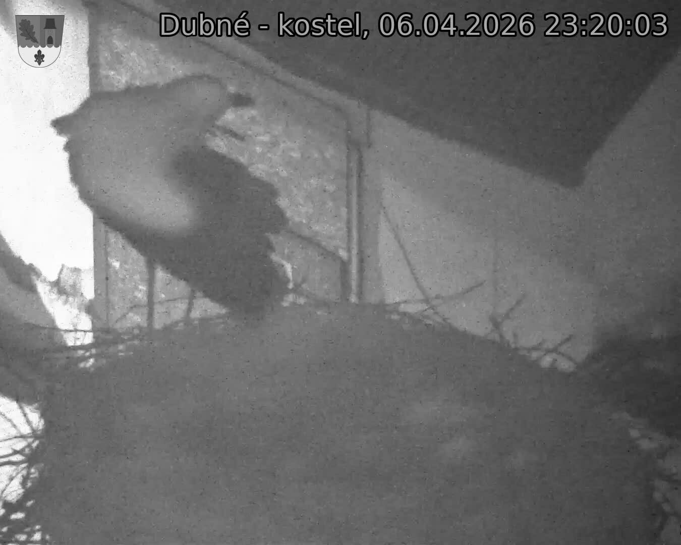 Capi_Dubne_20260406_232003.jpg (1350&nbsp;x&nbsp;1080)