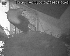 Capi_Dubne_20260406_232003.jpg (1350&nbsp;x&nbsp;1080)