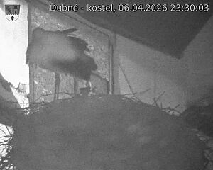 Capi_Dubne_20260406_233003.jpg (1350&nbsp;x&nbsp;1080)