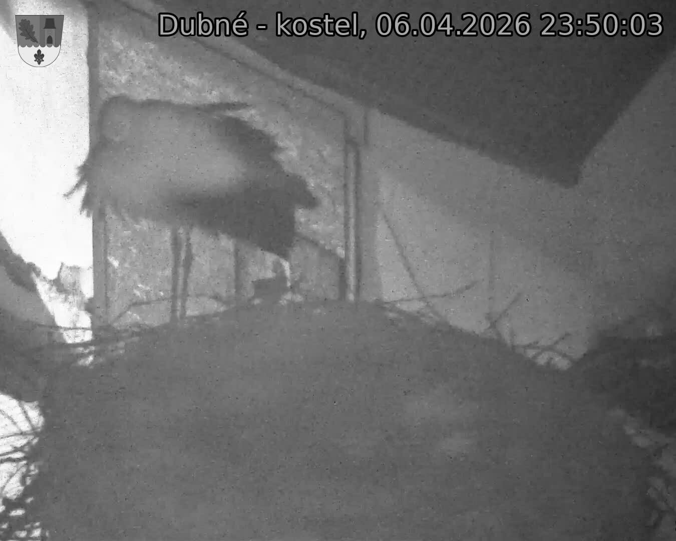 Capi_Dubne_20260406_235003.jpg (1350&nbsp;x&nbsp;1080)