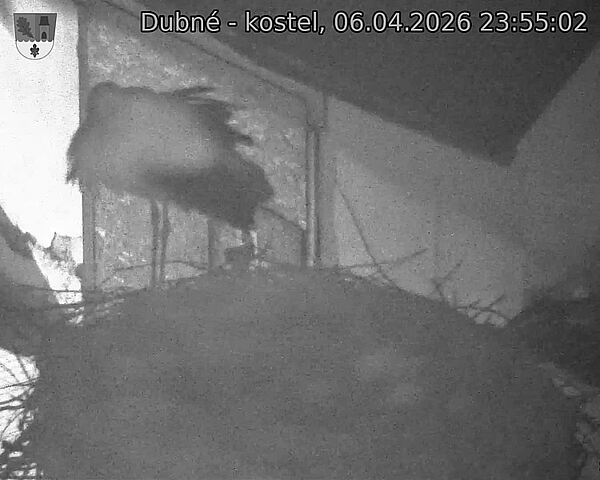 Capi_Dubne_20260406_235502.jpg (1350&nbsp;x&nbsp;1080)