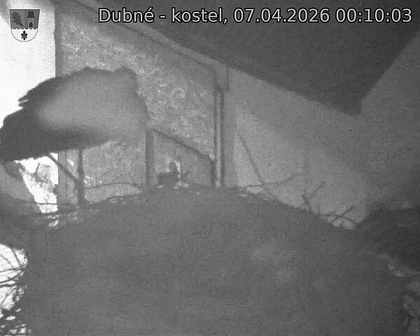 Capi_Dubne_20260407_001003.jpg (1350&nbsp;x&nbsp;1080)