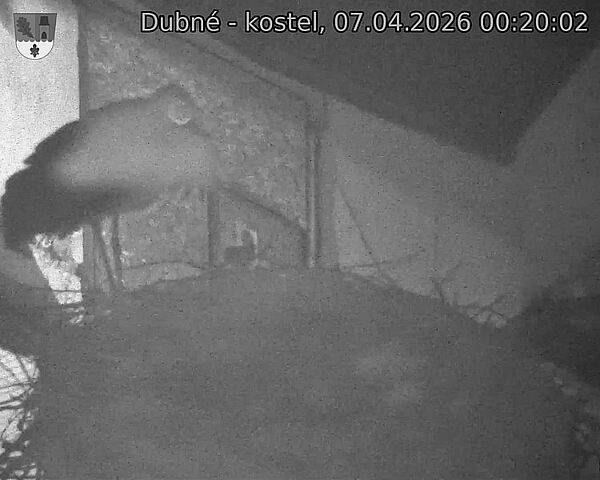 Capi_Dubne_20260407_002002.jpg (1350&nbsp;x&nbsp;1080)