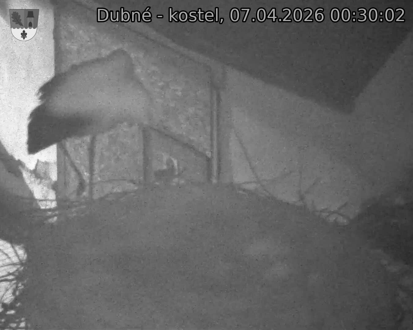Capi_Dubne_20260407_003002.jpg (1350&nbsp;x&nbsp;1080)