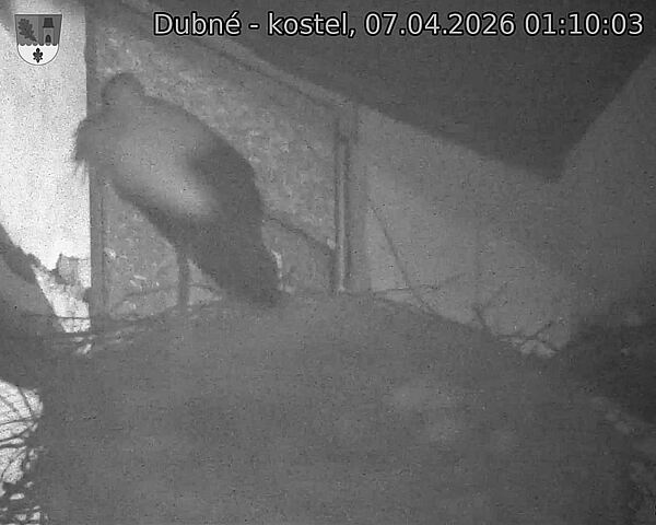 Capi_Dubne_20260407_011003.jpg (1350&nbsp;x&nbsp;1080)