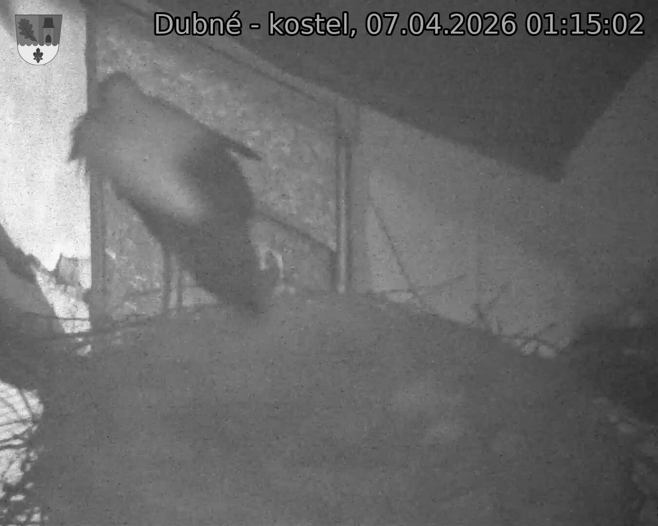 Capi_Dubne_20260407_011502.jpg (1350&nbsp;x&nbsp;1080)