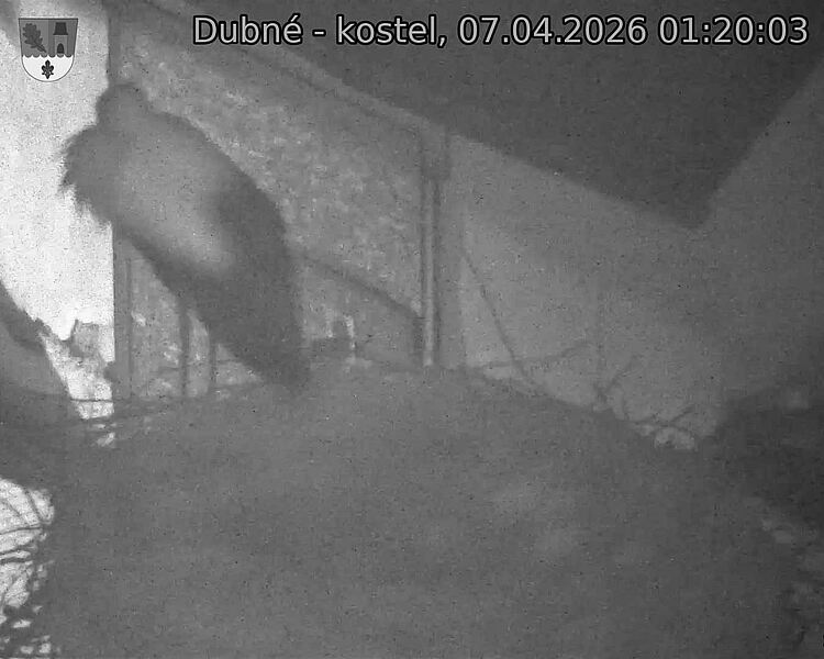 Capi_Dubne_20260407_012003.jpg (1350&nbsp;x&nbsp;1080)