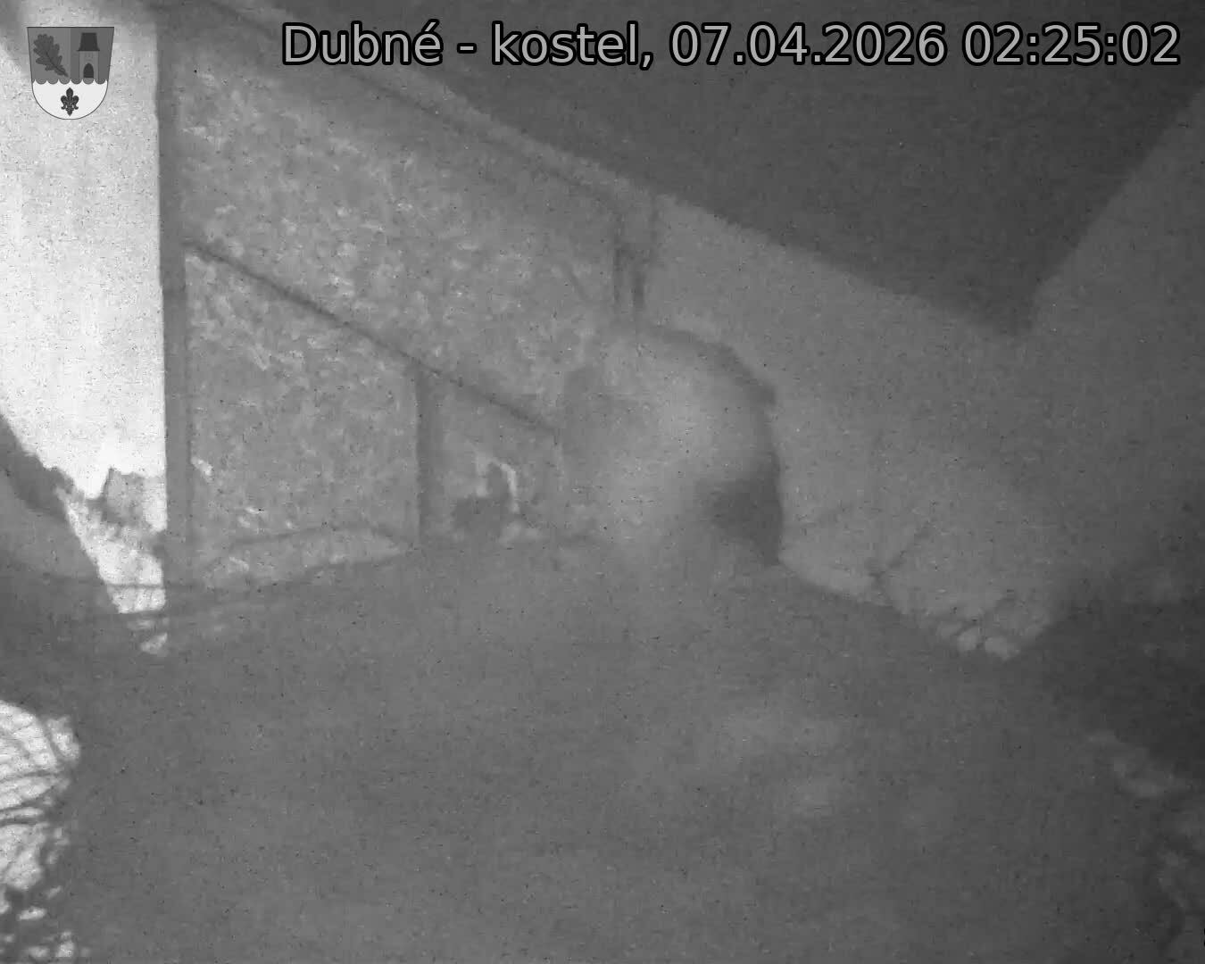 Capi_Dubne_20260407_022502.jpg (1350&nbsp;x&nbsp;1080)
