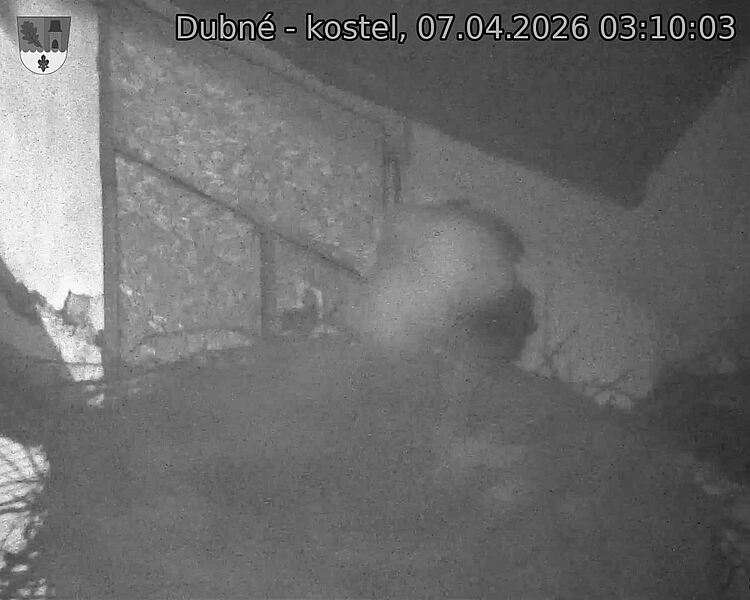 Capi_Dubne_20260407_031003.jpg (1350&nbsp;x&nbsp;1080)