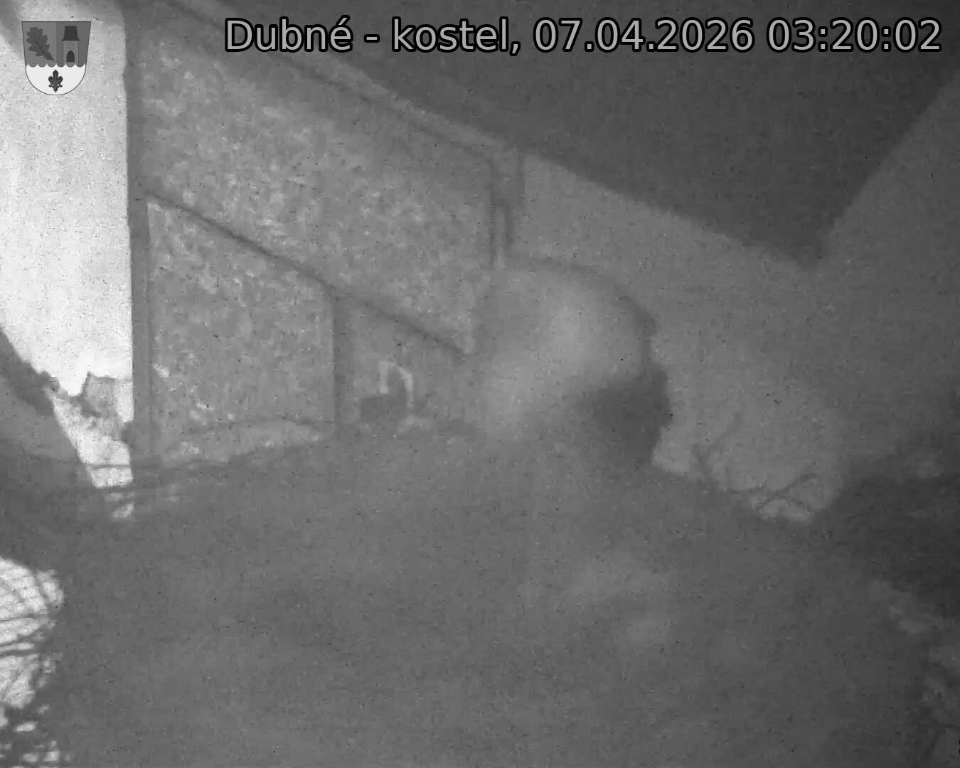 Capi_Dubne_20260407_032002.jpg (1350&nbsp;x&nbsp;1080)