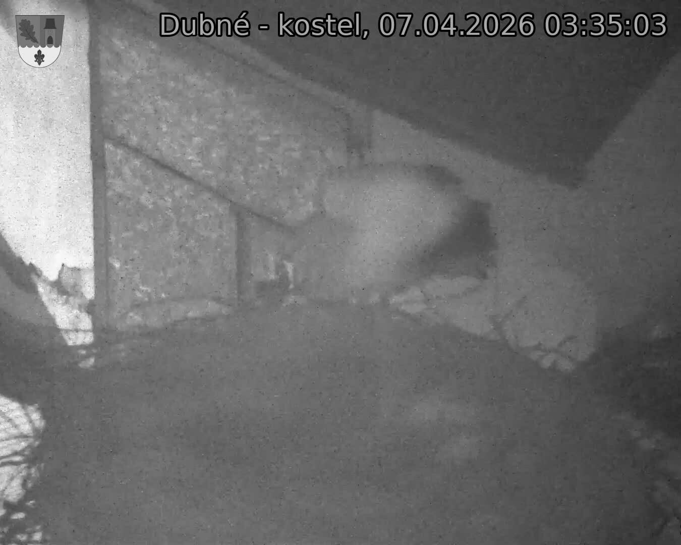 Capi_Dubne_20260407_033503.jpg (1350&nbsp;x&nbsp;1080)