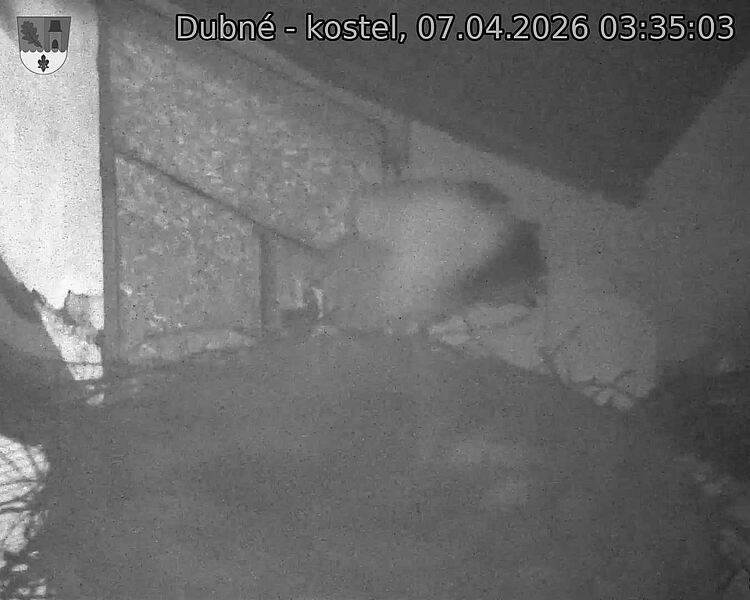 Capi_Dubne_20260407_033503.jpg (1350&nbsp;x&nbsp;1080)