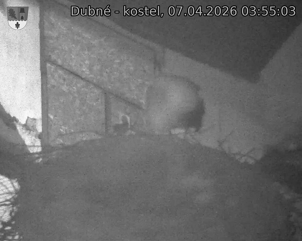 Capi_Dubne_20260407_035503.jpg (1350&nbsp;x&nbsp;1080)