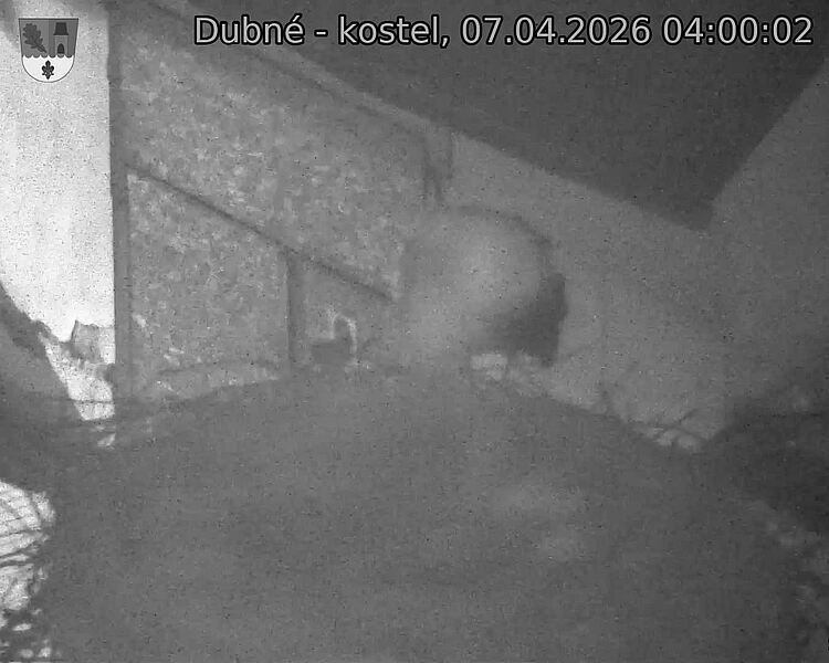 Capi_Dubne_20260407_040002.jpg (1350&nbsp;x&nbsp;1080)