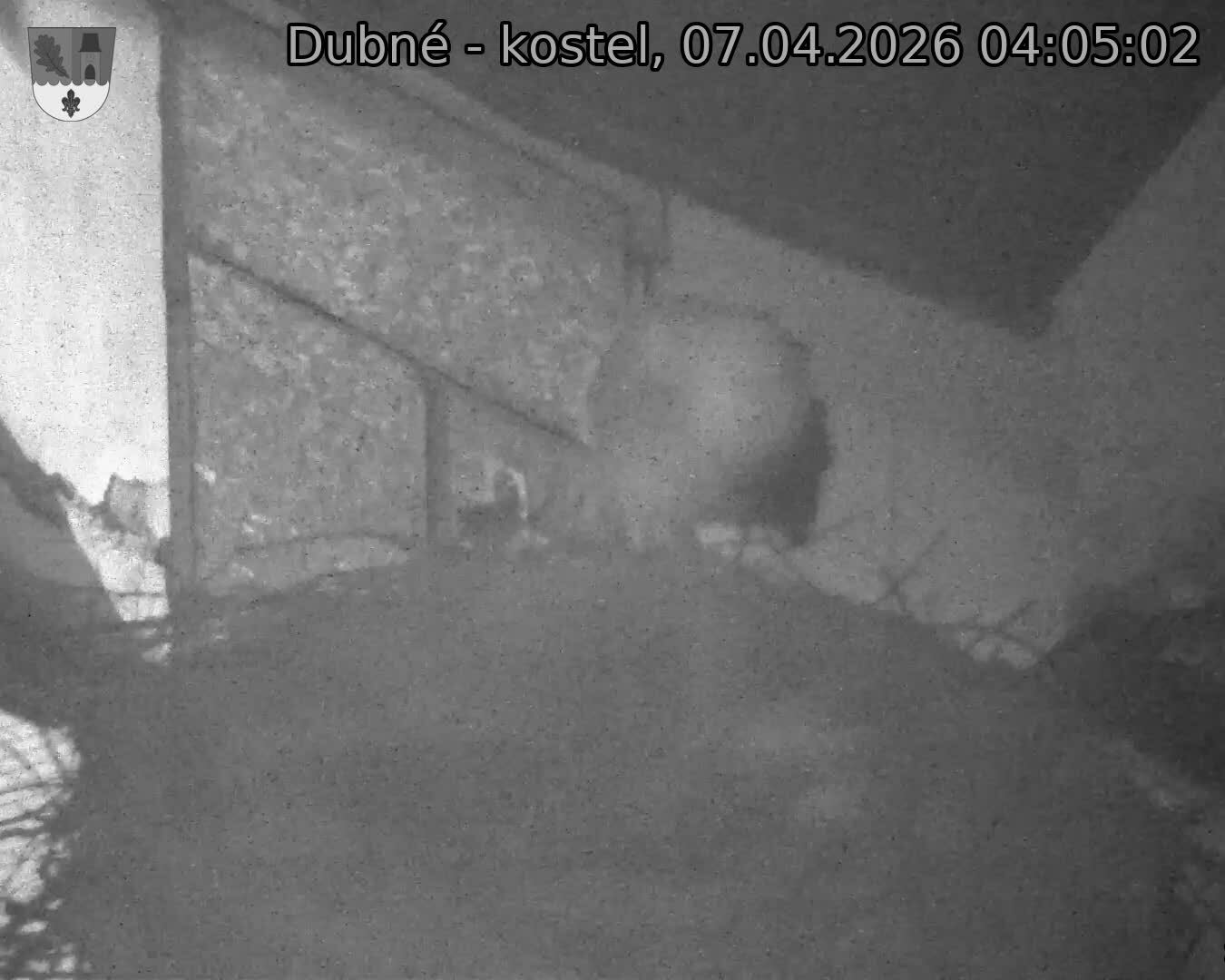 Capi_Dubne_20260407_040502.jpg (1350&nbsp;x&nbsp;1080)
