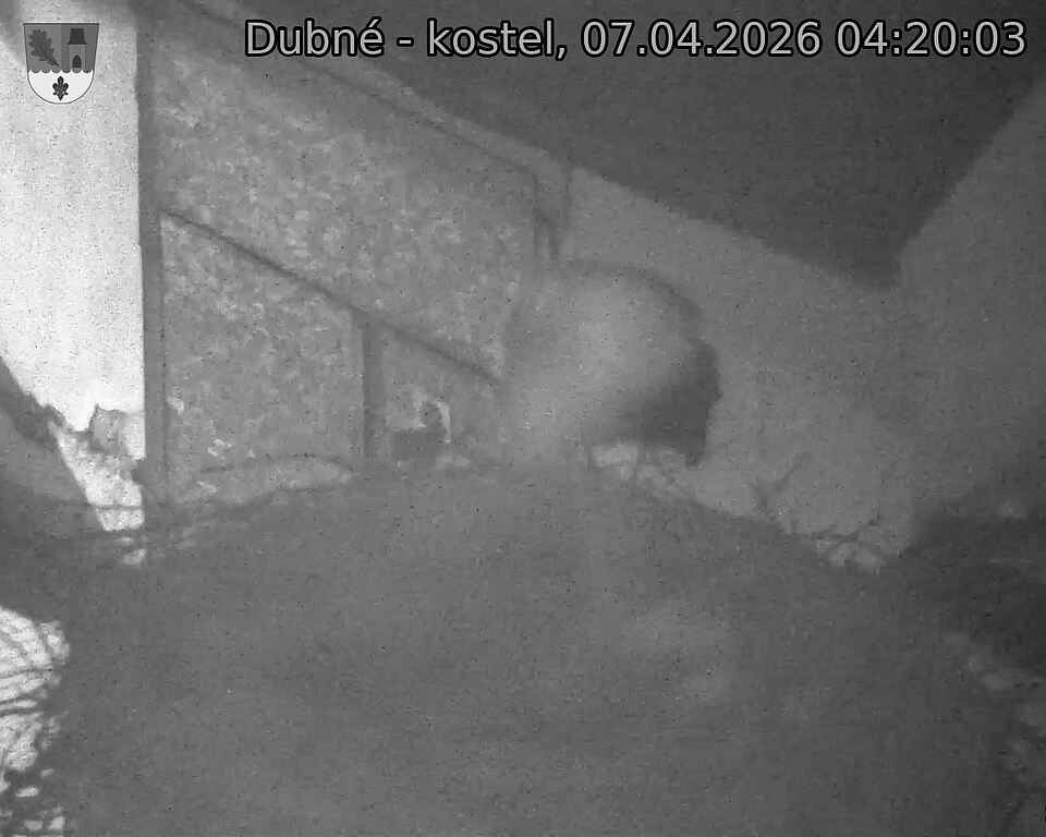 Capi_Dubne_20260407_042003.jpg (1350&nbsp;x&nbsp;1080)