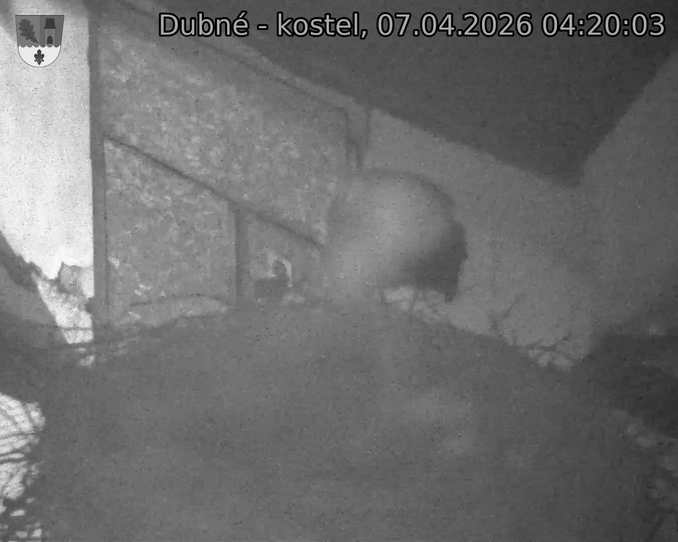 Capi_Dubne_20260407_042003.jpg (1350&nbsp;x&nbsp;1080)