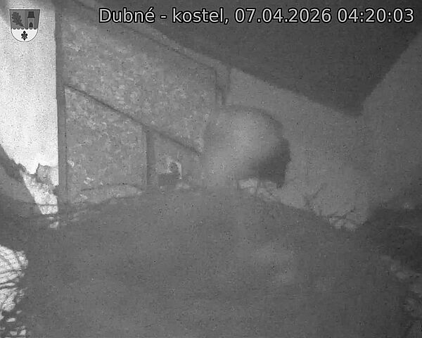 Capi_Dubne_20260407_042003.jpg (1350&nbsp;x&nbsp;1080)